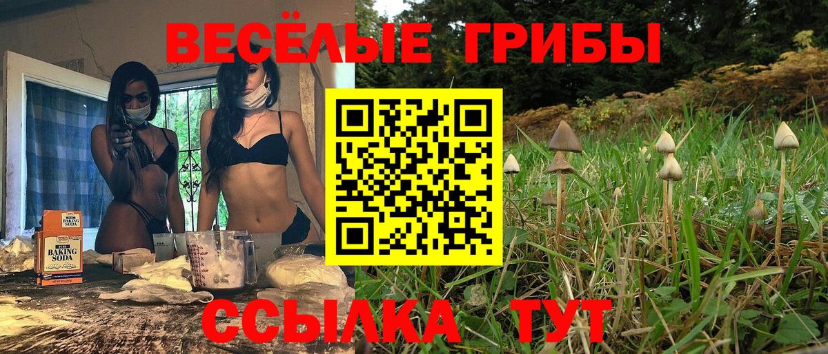 Галлюциногенные грибы Cubensis Шали